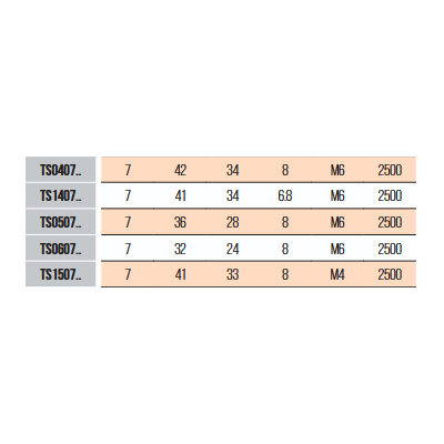 TIRANTE M6 P/ECC. Ø7X42 INT.34